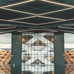 City Lights and Heartbeats