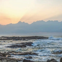 A Heartfelt Journey Home