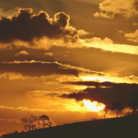 Cover art for Echoes Within