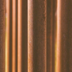 Pulse of the Neon City