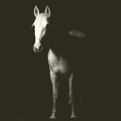 Reverberations of Valor