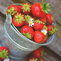 A Gentle Welcome Home