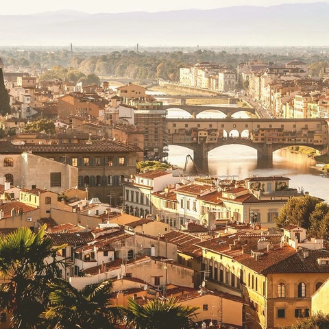 Cover art for Fall Wind