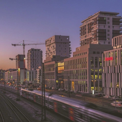 Coverbild für Vector Vista