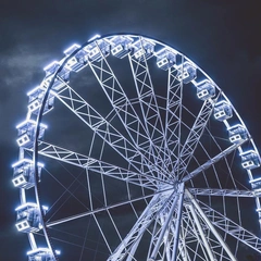 Electric Pulse of Joy