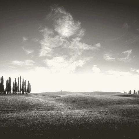 Portada para A Grand and Wondrous Journey