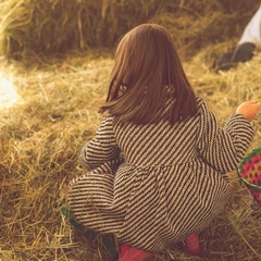 Cover art for Fiddle in a Feather Storm