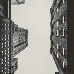 Digital Dreams Unfolding