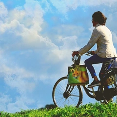 Are You Gonna Be My Girl