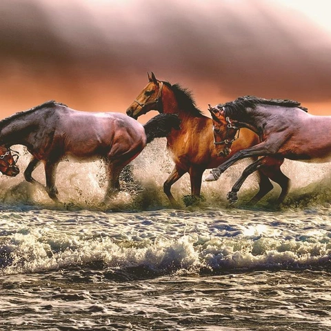 Portada para Collapse of Battle