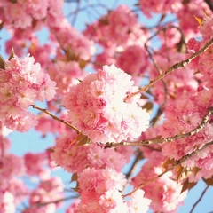 Skyline Neon Dancing