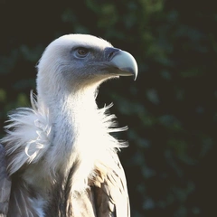 The Edge of Tomorrow