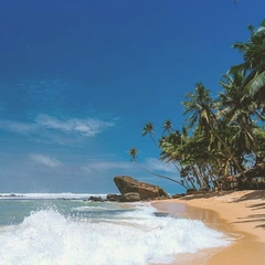 Streets of Celebration