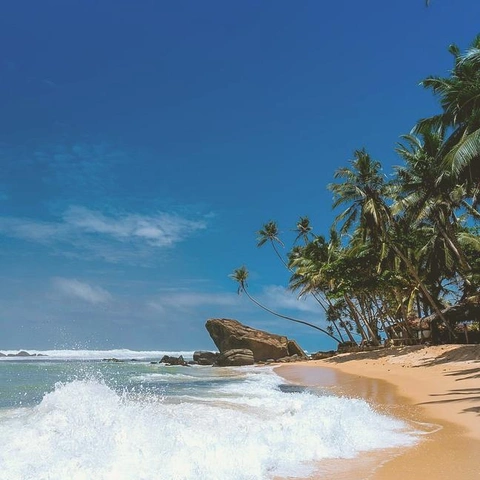 Coverbild für Streets of Celebration