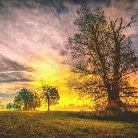 Pochette pour Starlit Pathway