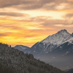 A Whisper on the Breeze