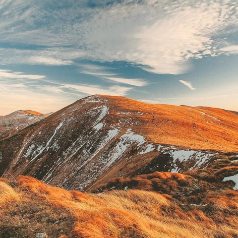 Portada para Carols of Winter Triumph