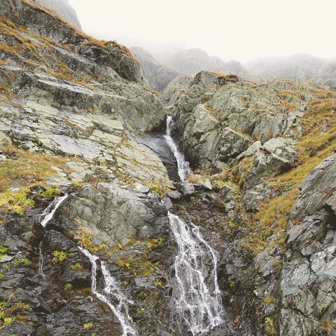 Pochette pour Gliding Strings