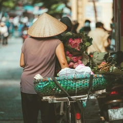Window Light Sketches