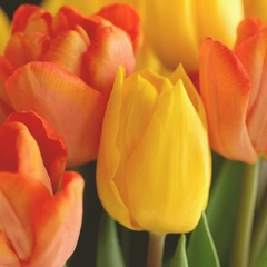 City Lights and Saturday Nights