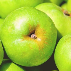 Radiant Echoes on the Horizon