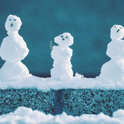 Cover art for Clarinet in Disguise