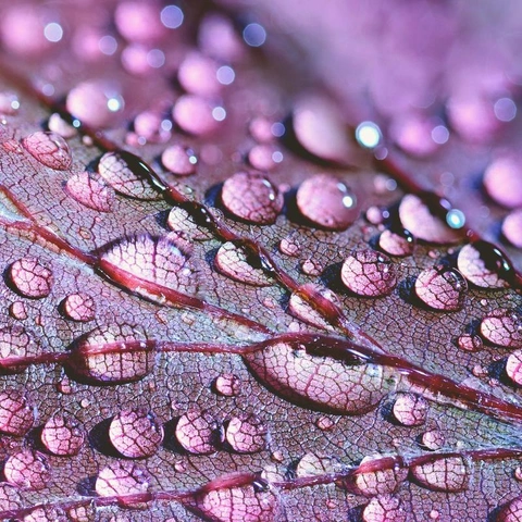 Arte da capa para Midnight Data Flow