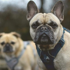 Road Trip to Nowhere