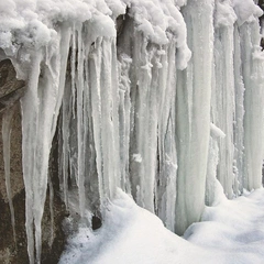 A Hero's Journey Home