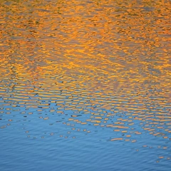 Soft Rain in the Atrium