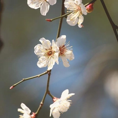 Whispered Beginnings