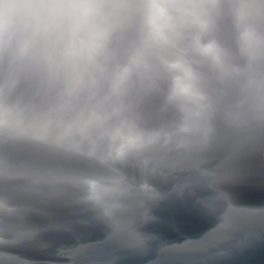 Stars Over the Office