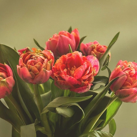 Coverbild für Pocket Of Cool