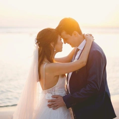 Starlight Over Busy Streets