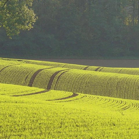 Road Tripのジャケット画像