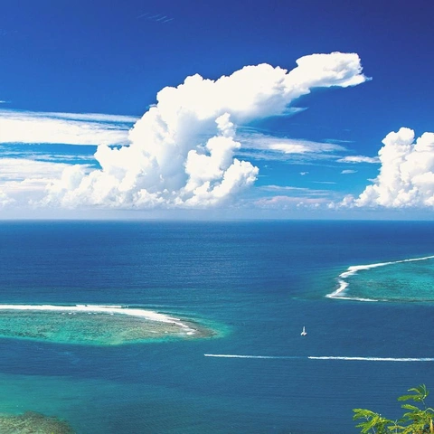 Pochette pour Velvet Corner Trio