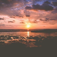 The Beekeeper's Secret