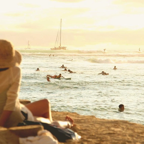 Pochette pour Passport Pulse