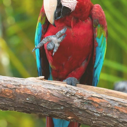 Take A Whiskのジャケット画像