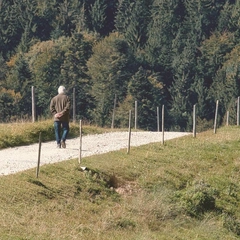 Memories Follow The Wind