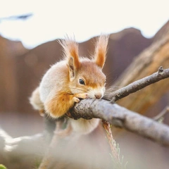 Press Start to Smile