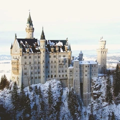 A Heartfelt Journey Unfolds