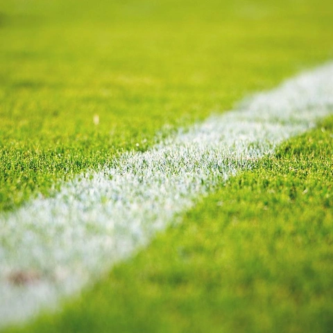 Coverbild für Glow Surge