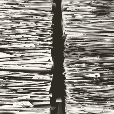 Cover art for Cyber Pursuit