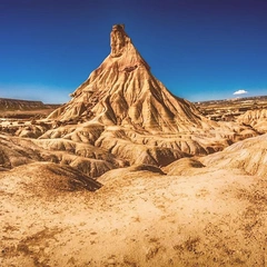 Whispers of the Wild