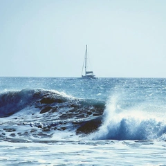 Skyward from the Ashes