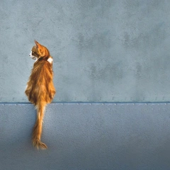 Lanterns in the Hallway