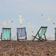 Cover art for Pulses for the Long Run