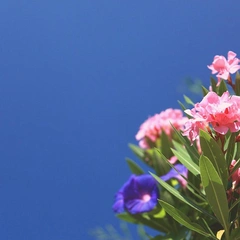 Wide Open Country Roads