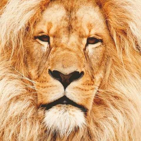 Coverbild für Hardcourt Hero